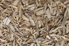 biomass boilers Burradon